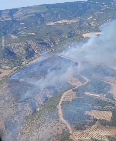 Pamukkale’de orman yangını
