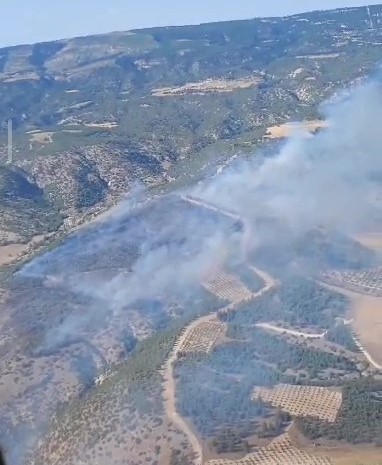 Pamukkale’de orman yangını
