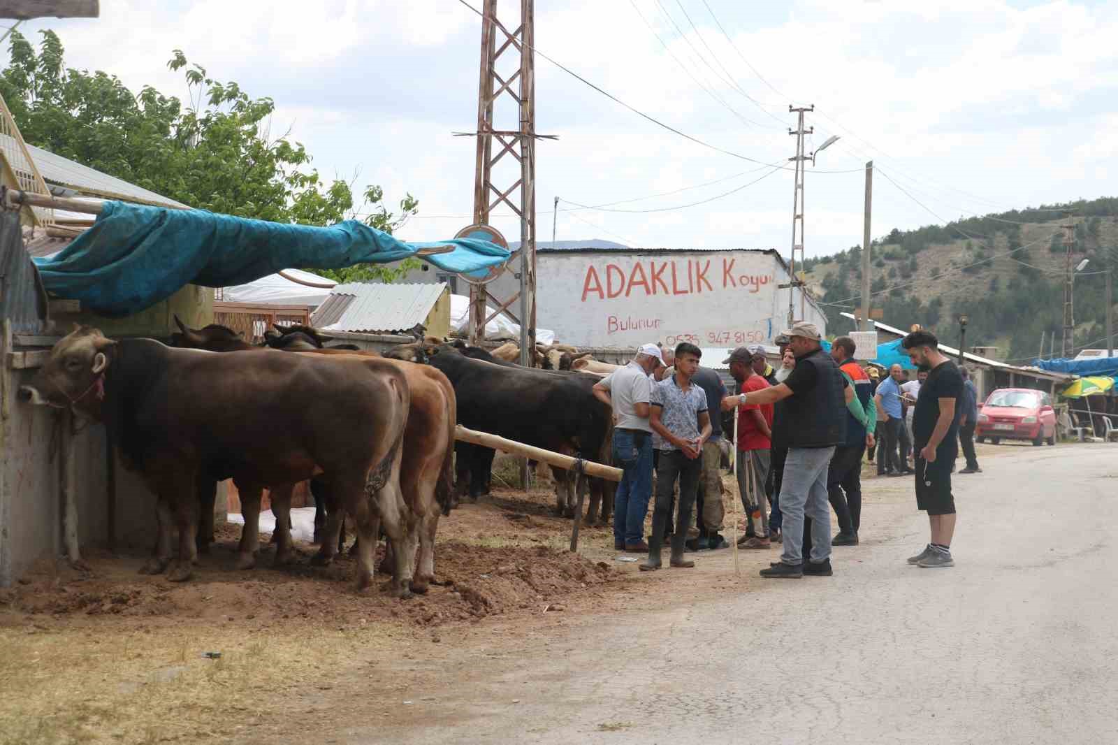 Bağışlar arttı kurbanlıklar pazarda kaldı
