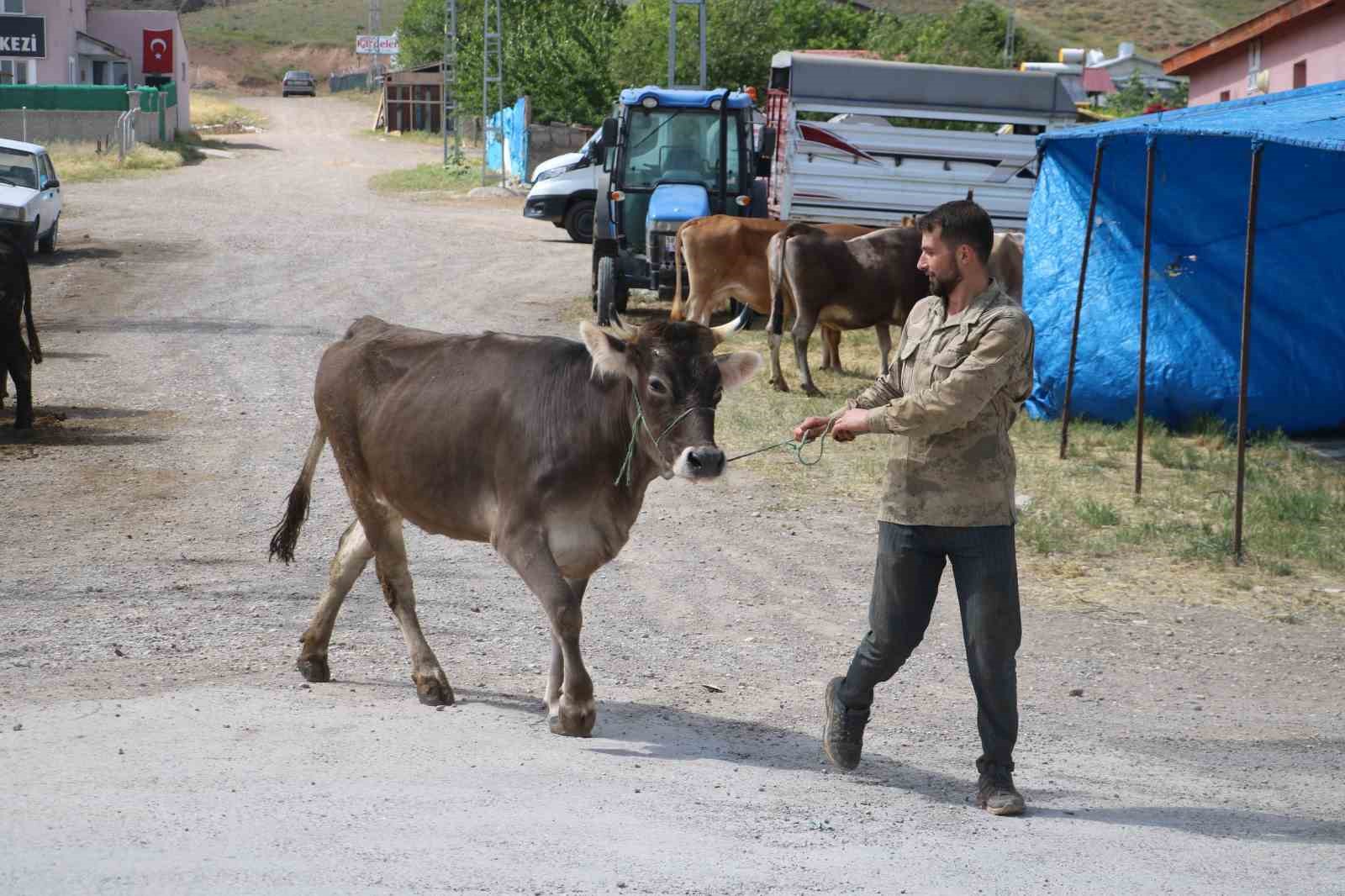 Bağışlar arttı kurbanlıklar pazarda kaldı
