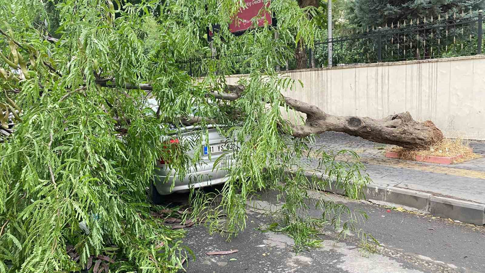 Diyarbakır’da dev ağaç otomobilin üstüne devrildi
