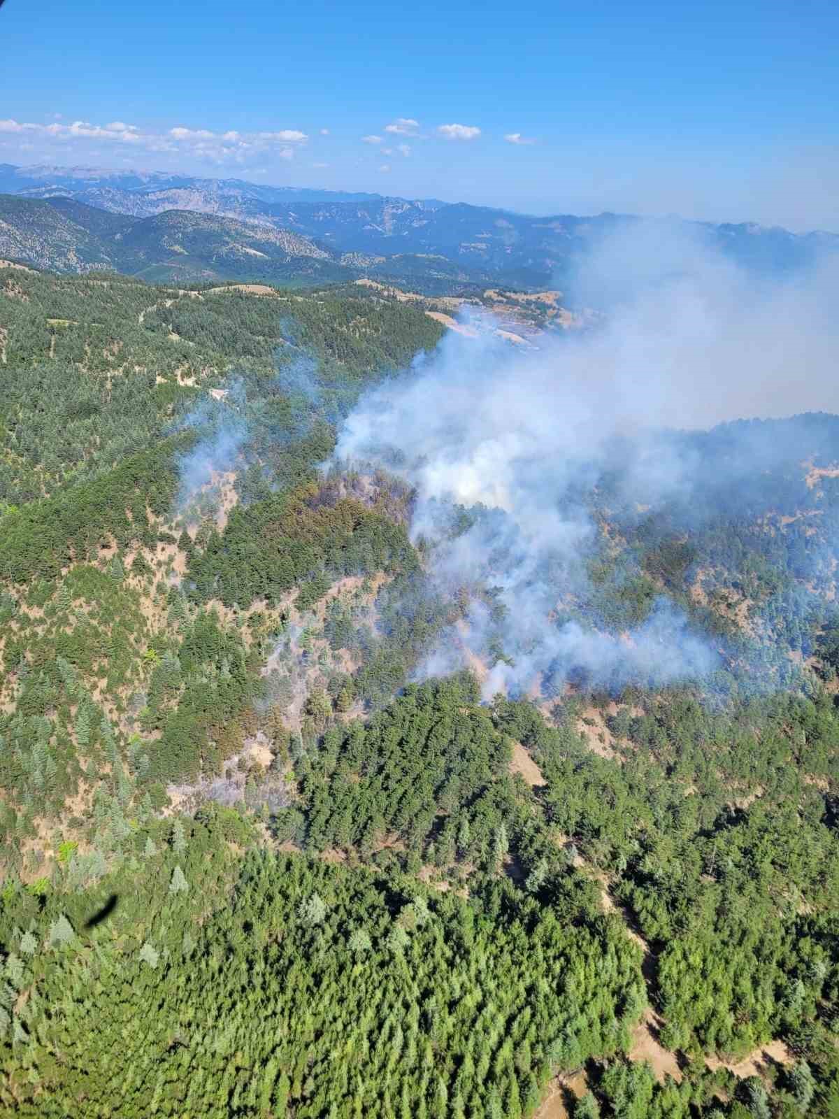 Adana’daki orman yangını kontrol altına alındı
