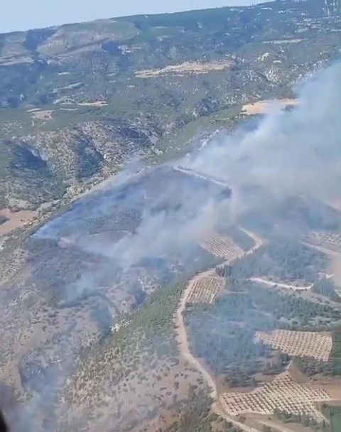 Pamukkale’deki orman yangınında 35 hektar alan zarar gördü
