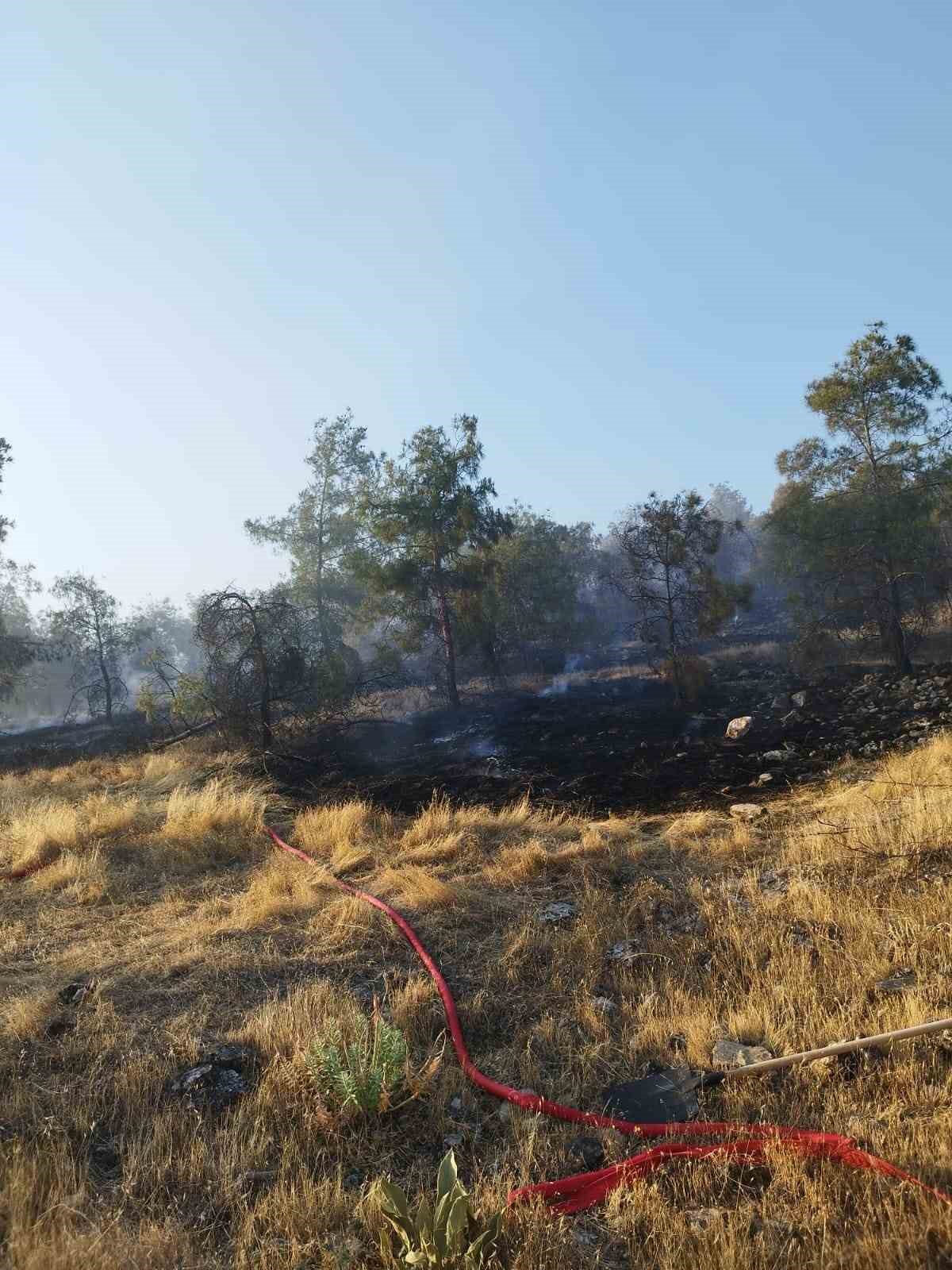 Pamukkale’deki orman yangınında 35 hektar alan zarar gördü
