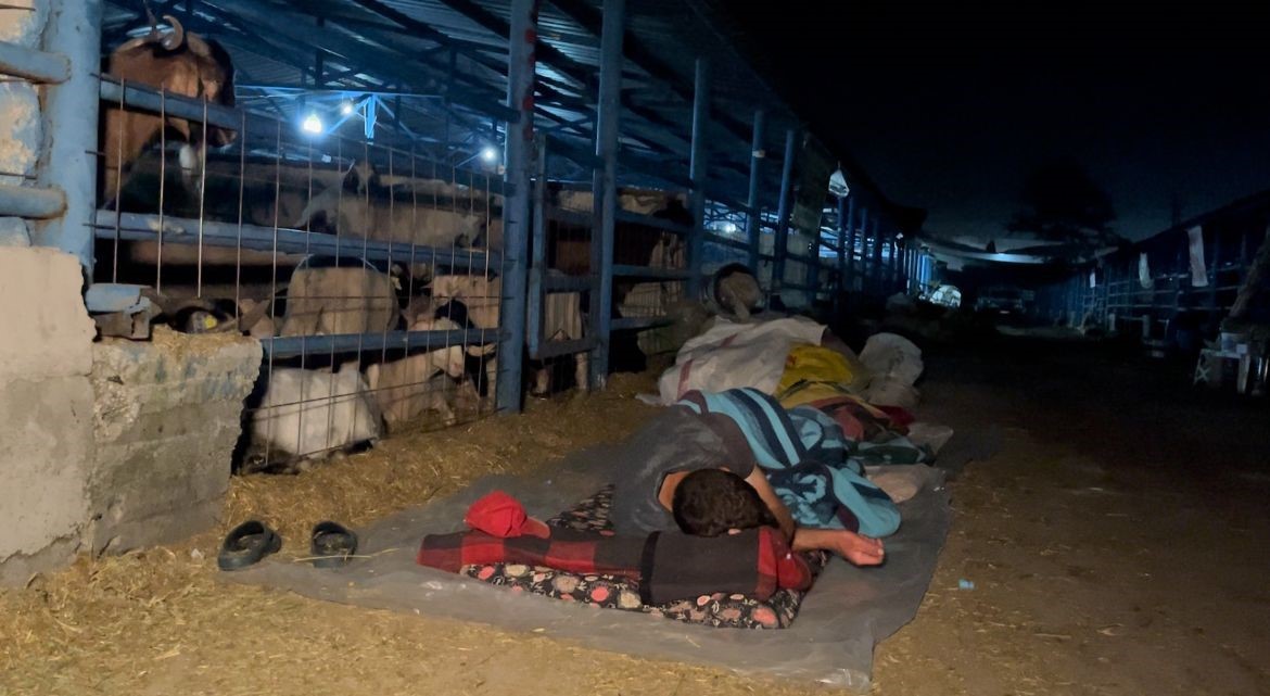 Bursa’da koyun koyuna kurban nöbeti
