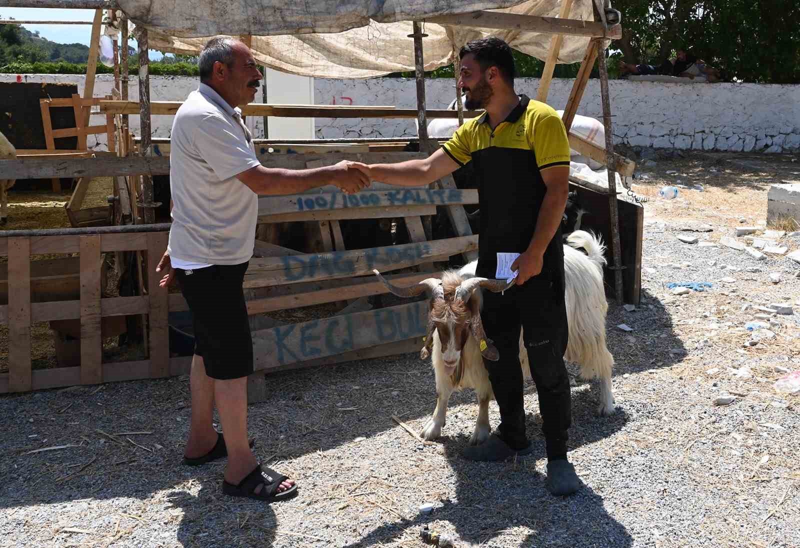 Kuşadası Belediyesi Kurban Bayramı’na hazır
