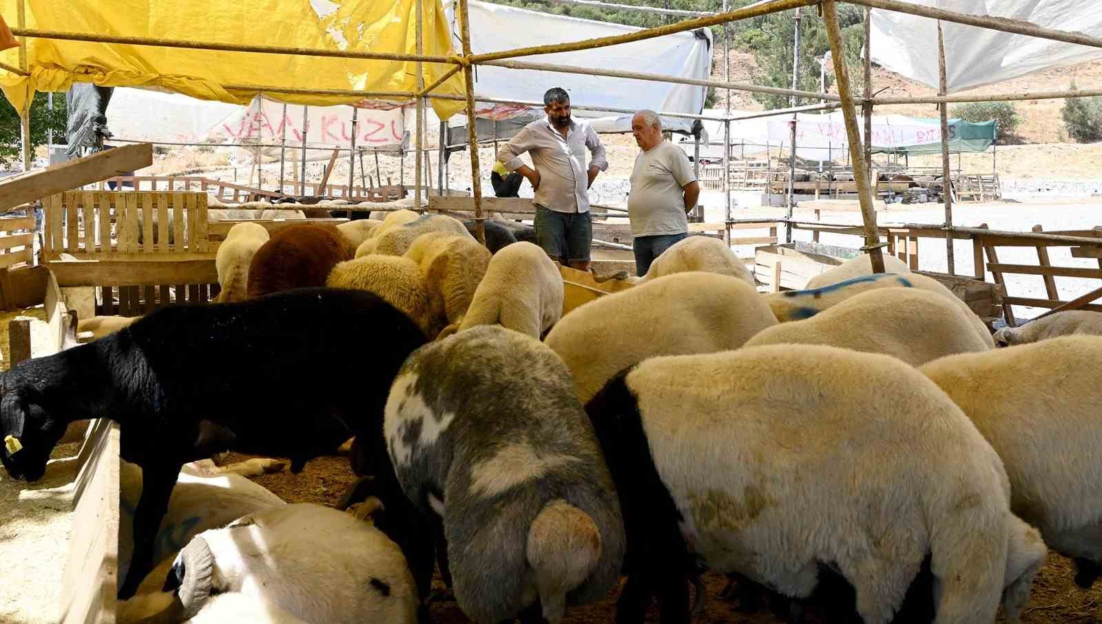 Kuşadası Belediyesi Kurban Bayramı’na hazır
