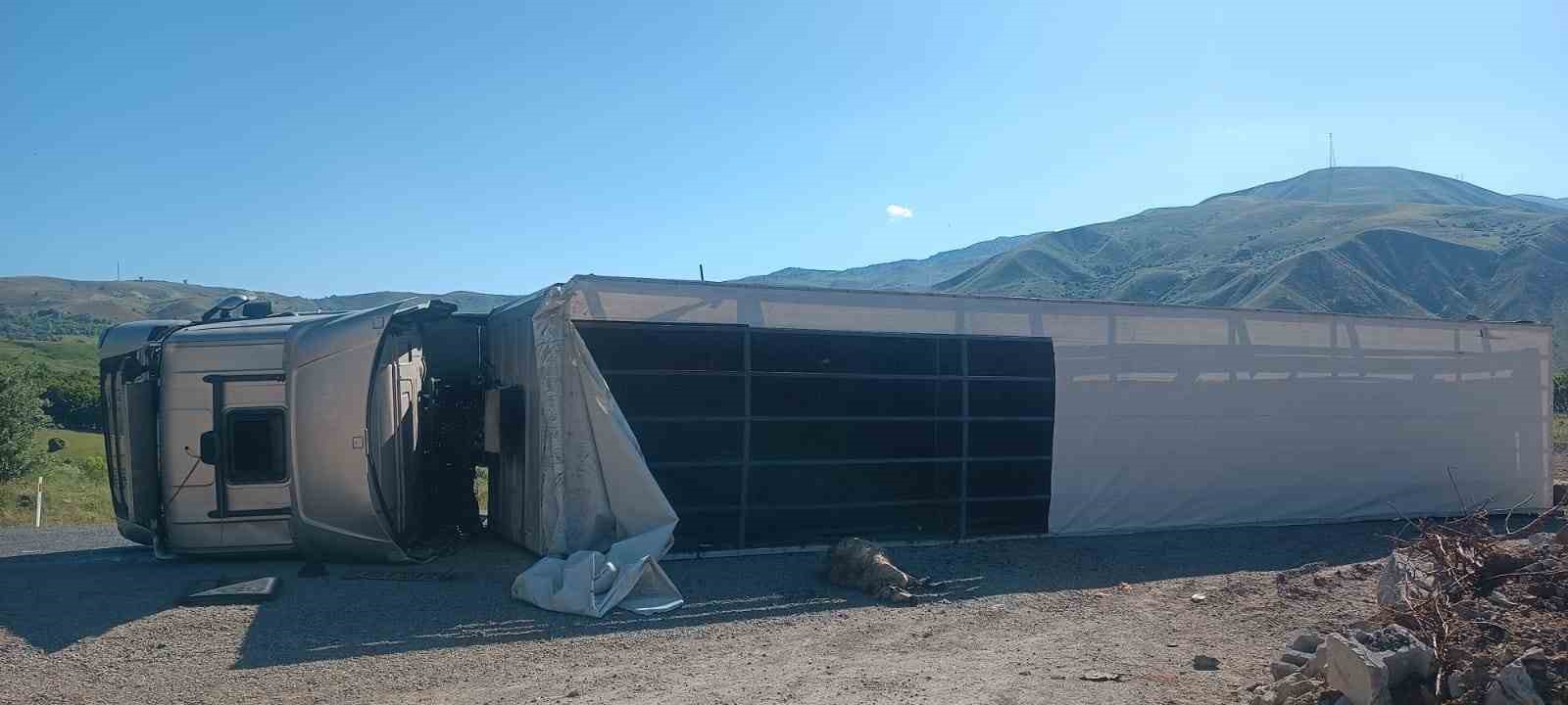 Tunceli’de, hayvan yüklü tır devrildi: 3 yaralı
