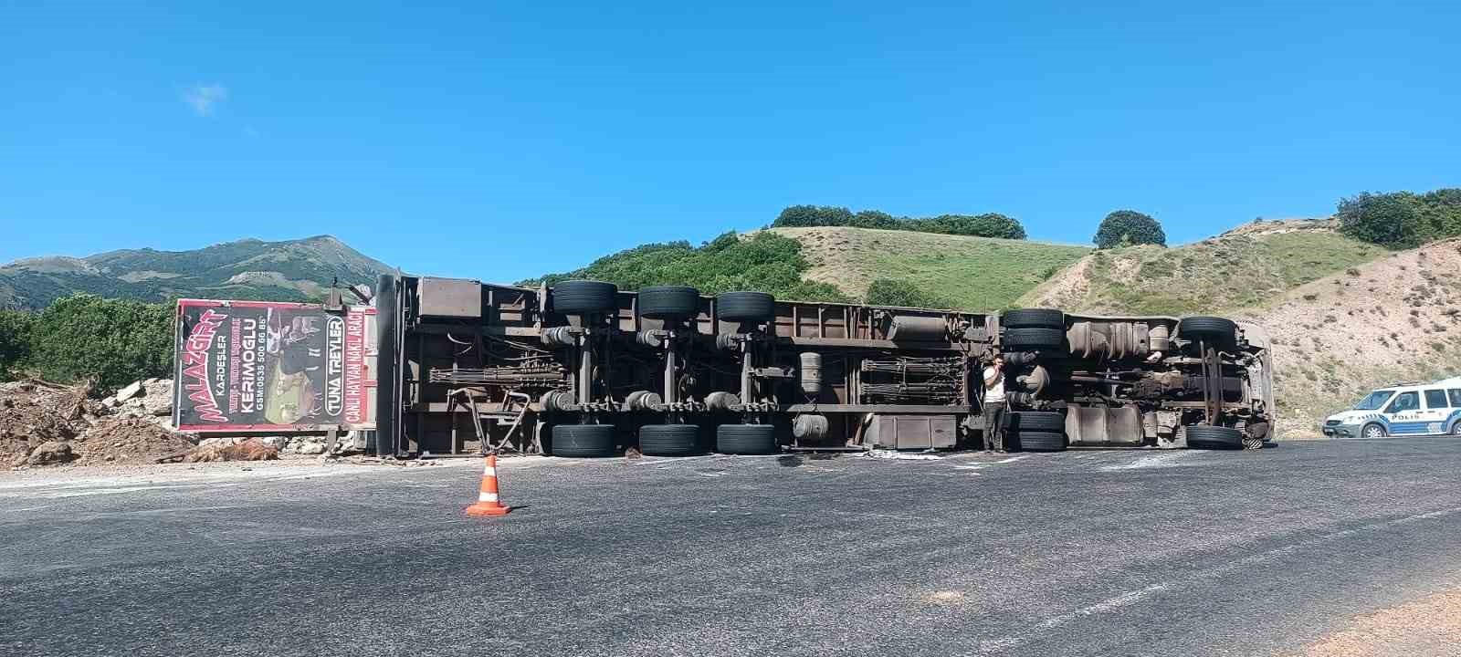 Tunceli’de, hayvan yüklü tır devrildi: 3 yaralı
