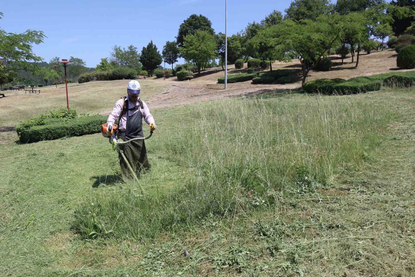 Bahçeşehir bölgesinde mesire alanları otlardan temizlendi
