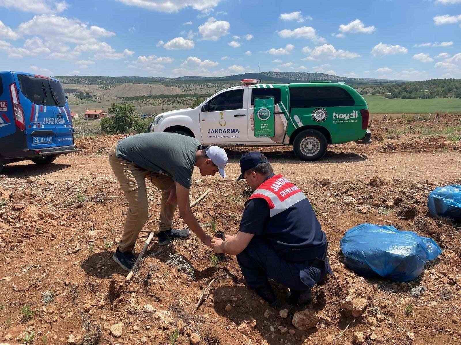 Jandarma ekiplerinden Çevre Haftası faaliyetleri
