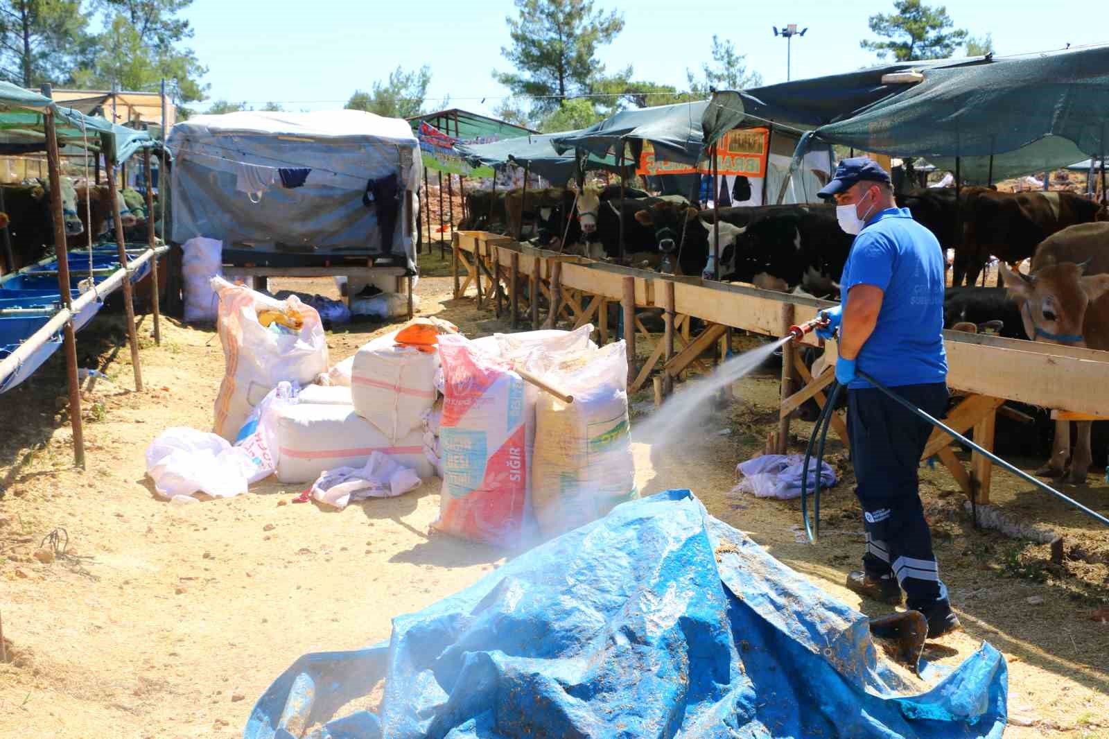 Büyükşehir kurban pazar yerlerini ilaçlıyor
