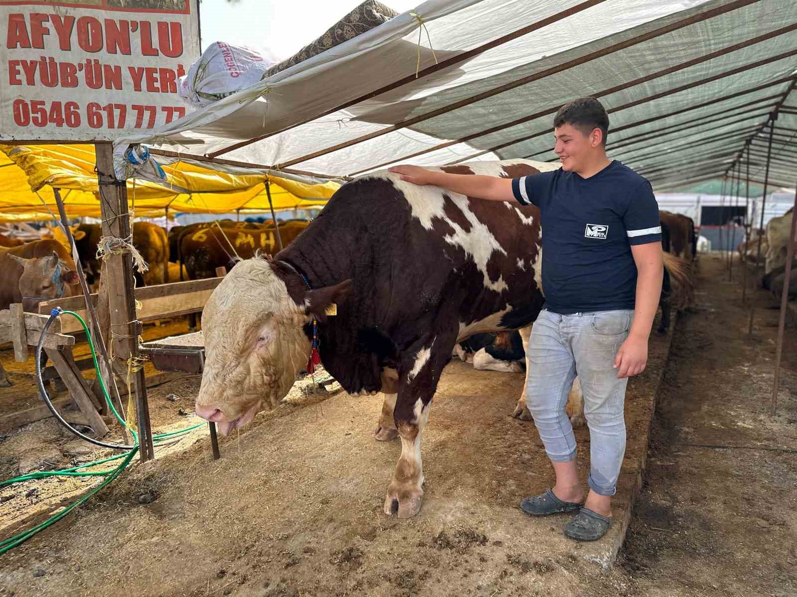 Kartal’da kurban pazarının şampiyonu 1320 kilo ağırlığındaki tosun alıcısını bekliyor
