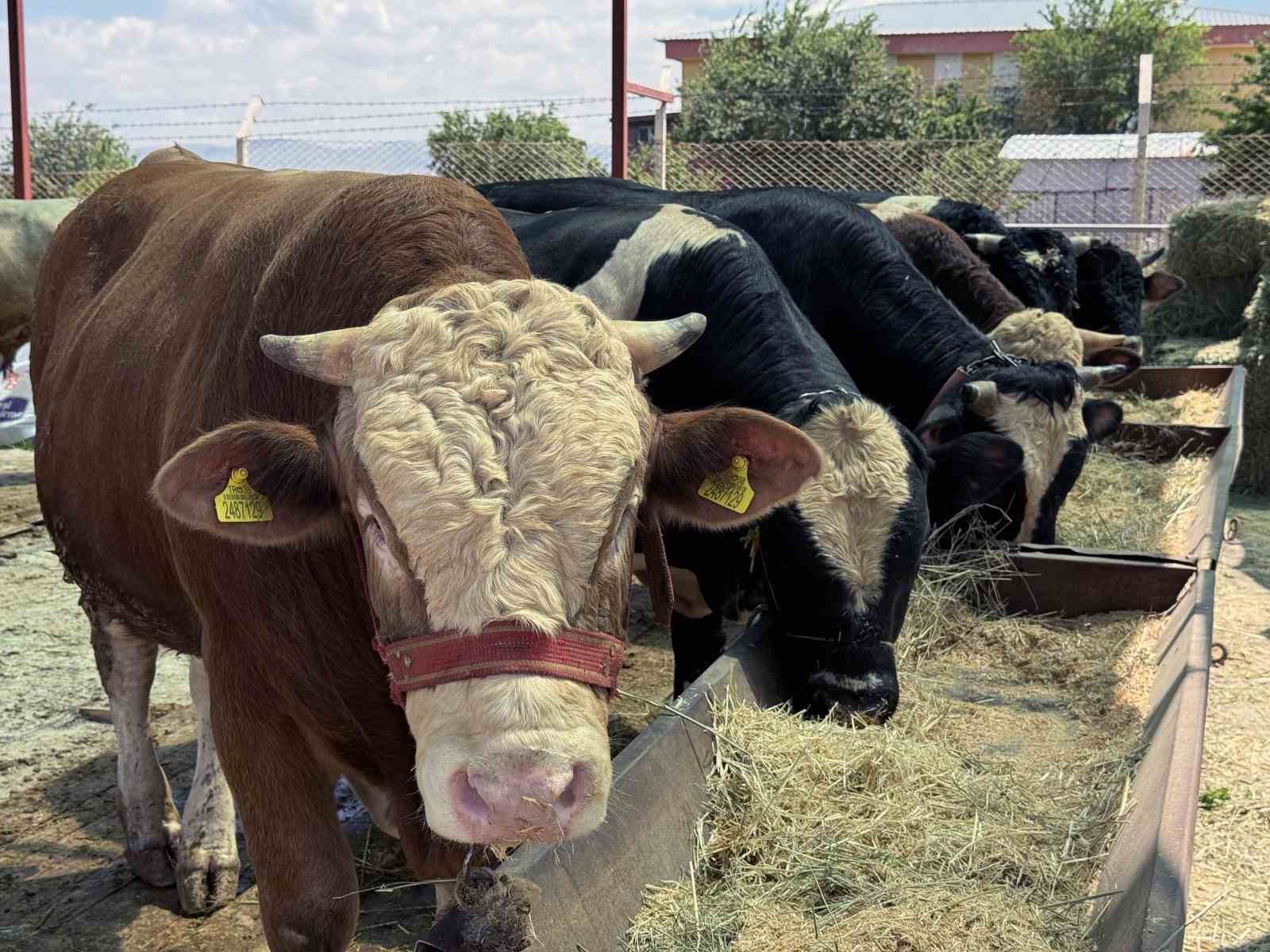 “Kayseri’de bir numara Talas Belediyesi”
