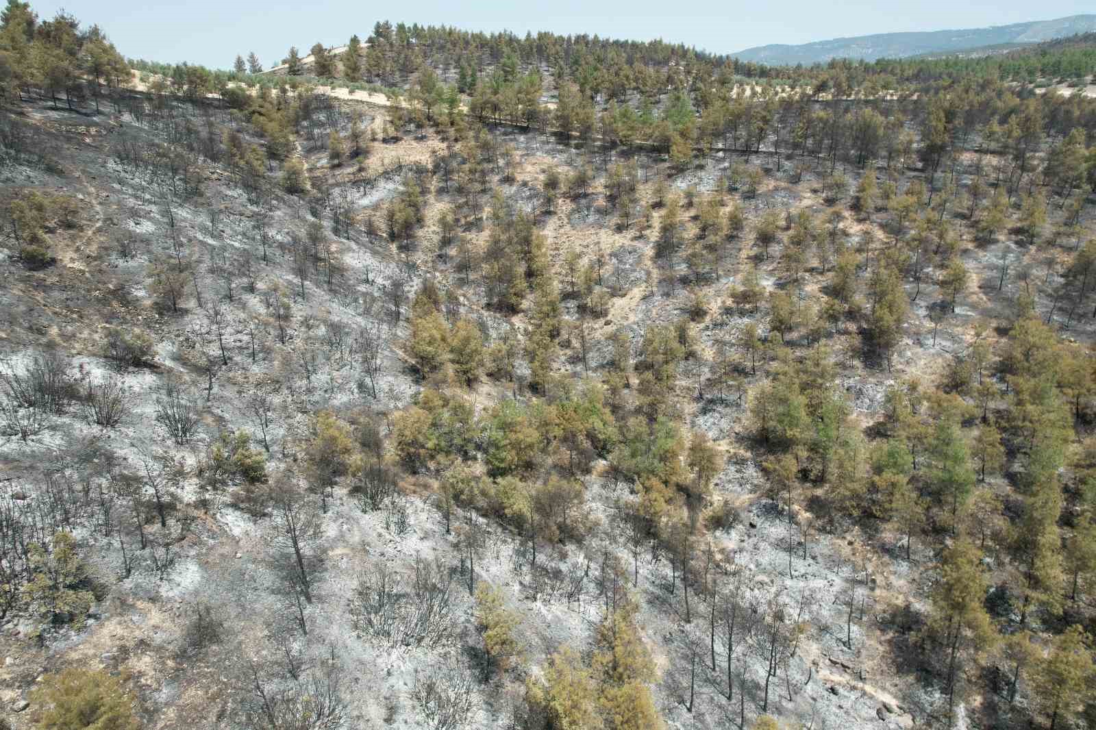 35 hektar alanın zarar gördüğü yangın sahası havadan görüntülendi
