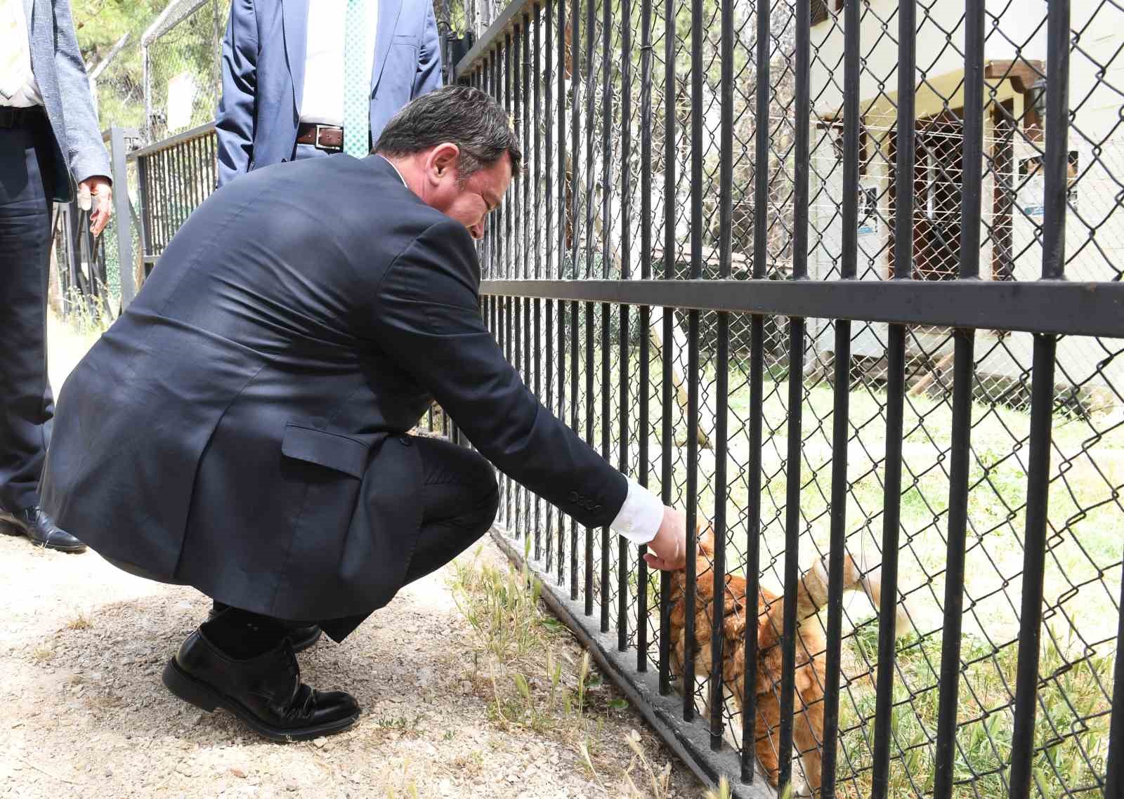 Osmangazi Belediyesi geleceğin veteriner hekimlerini yetiştiriyor
