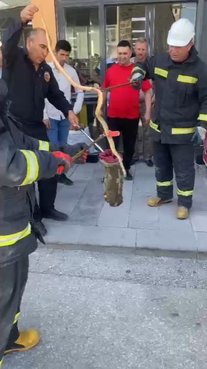 Karapınar’da park halindeki otomobilin altından yılan çıktı
