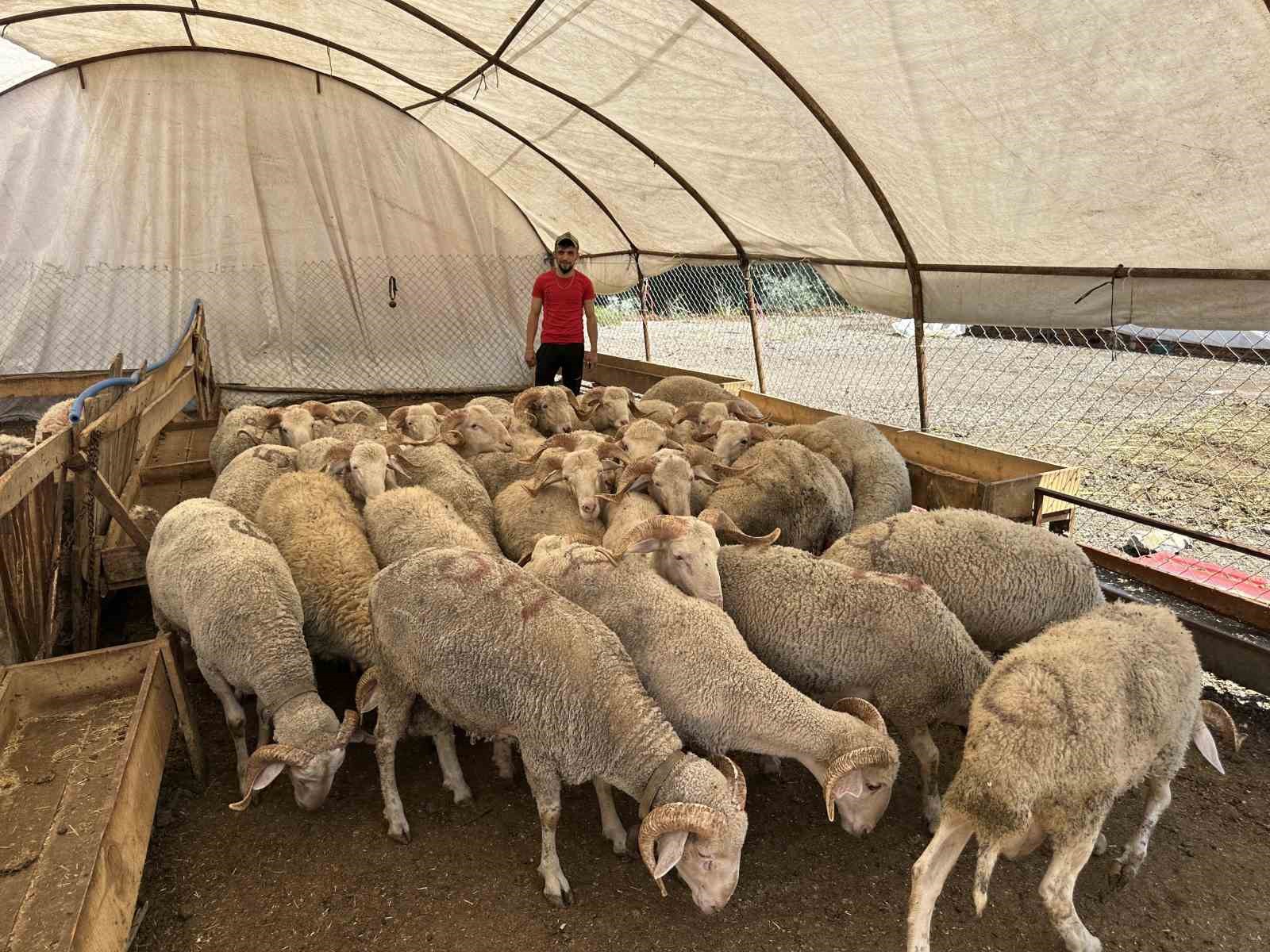 Kızılcahamam’da kurban pazarı kuruldu
