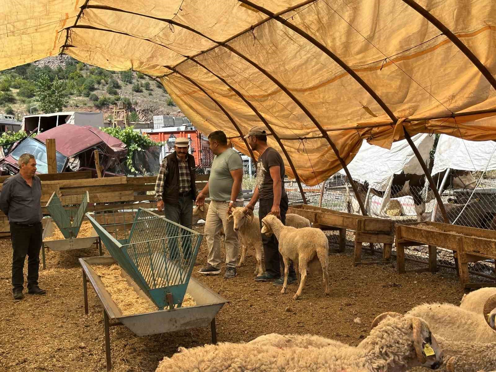 Kızılcahamam’da kurban pazarı kuruldu
