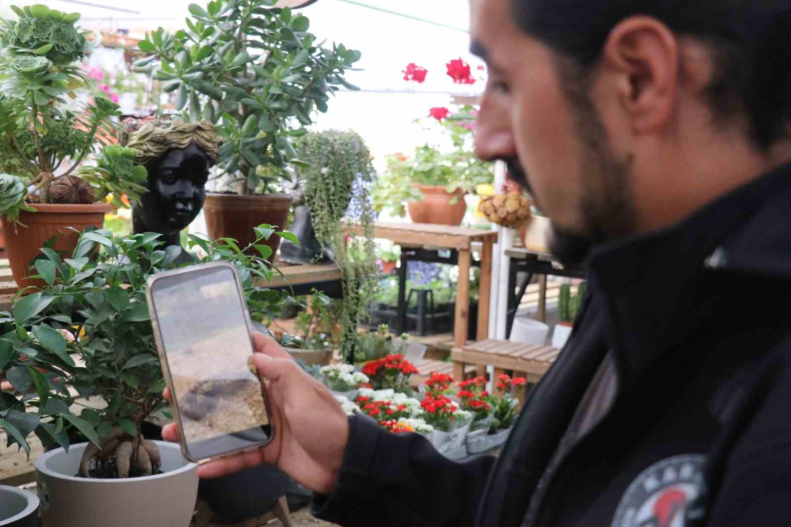 Isırdığında öldüren yılan türü Bolu’da görüntülendi
