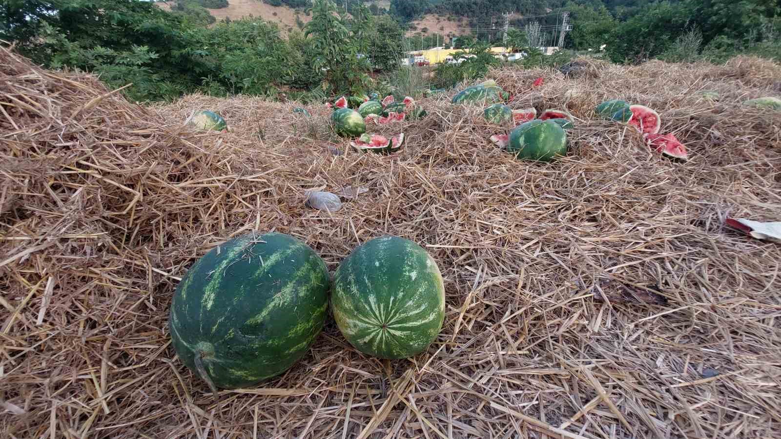 Samsun’da yol kenarına atılan karpuzlar dikkat çekti
