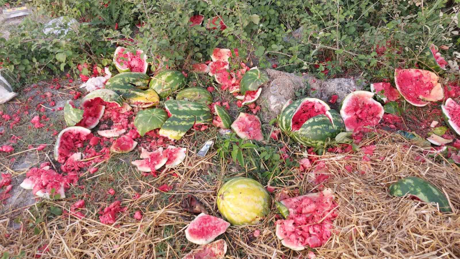 Samsun’da yol kenarına atılan karpuzlar dikkat çekti
