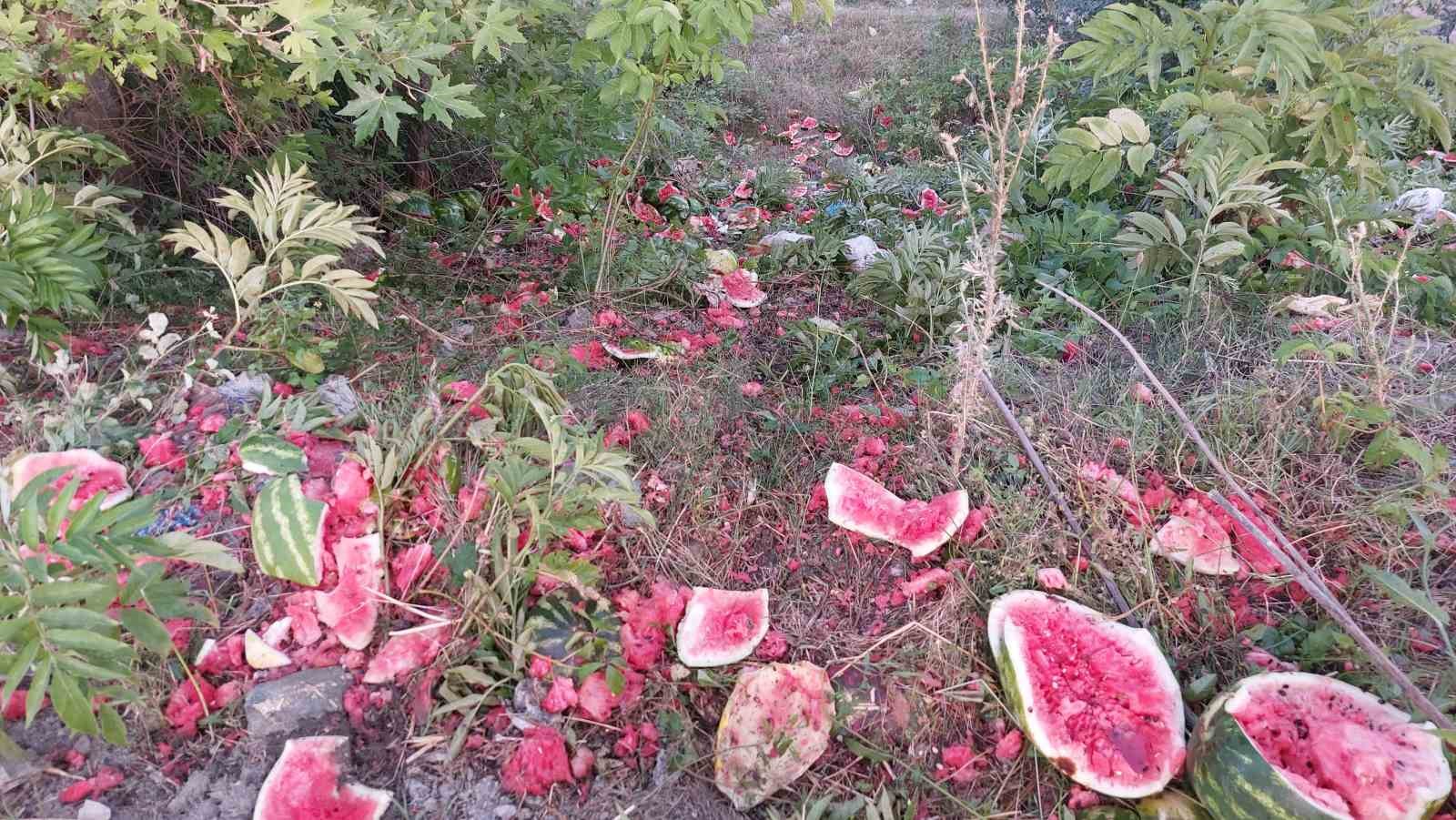 Samsun’da yol kenarına atılan karpuzlar dikkat çekti
