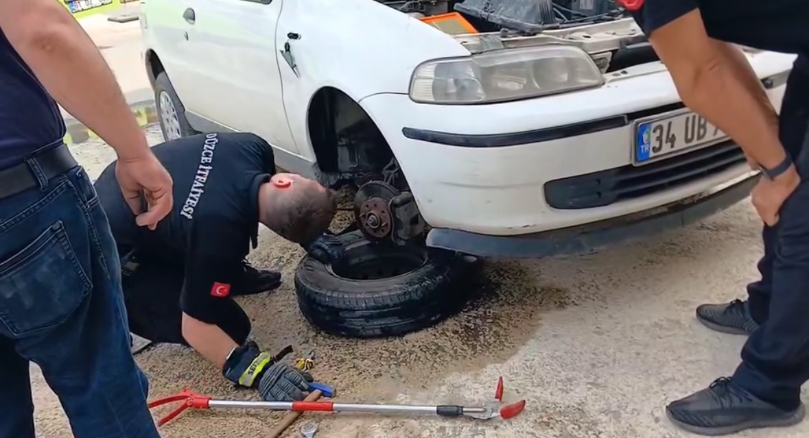 Otomobilin motoruna giren yılan teker sökülerek çıkarıldı
