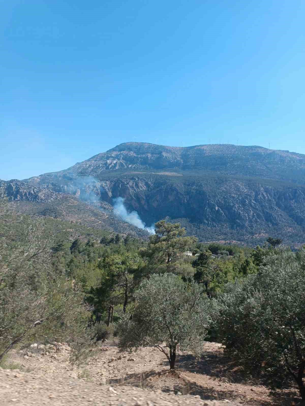 Mut’ta ormanlık alanda çıkan yangın kontrol altına alındı
