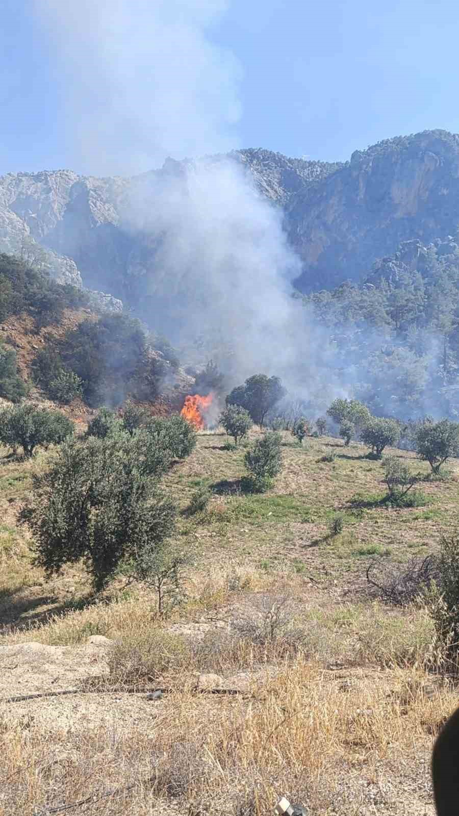 Mut’ta ormanlık alanda çıkan yangın kontrol altına alındı
