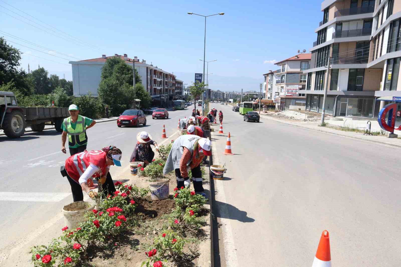 Konuralp çiçeklendiriliyor
