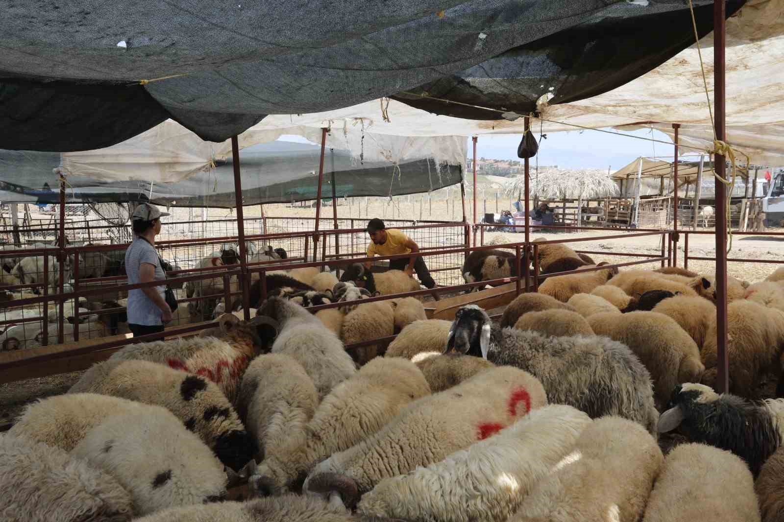 Çukurova’da kurban satış alanları denetleniyor
