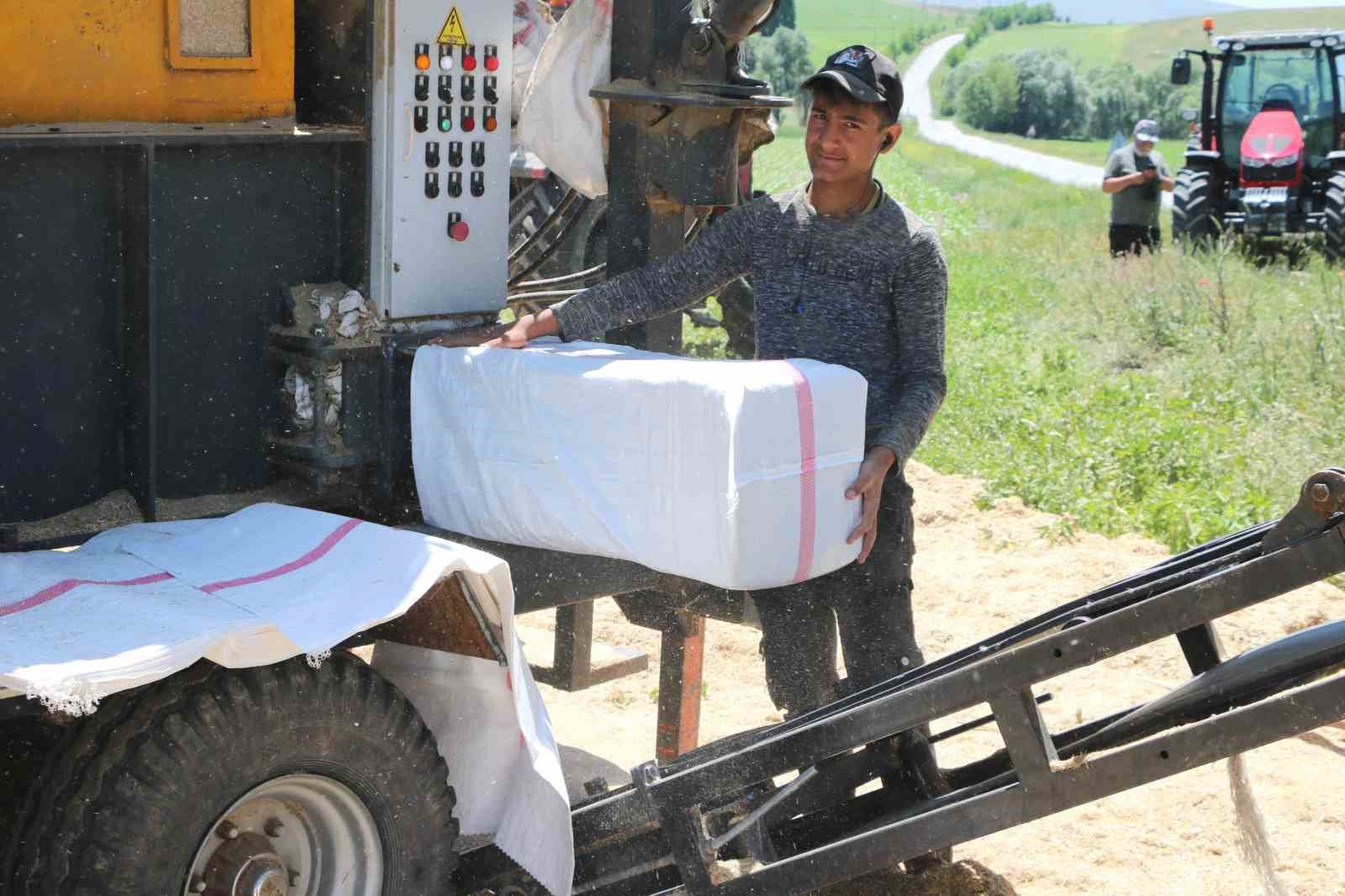 Elde kalan saman Karadeniz ve Akdeniz Bölgesi’ne gönderildi
