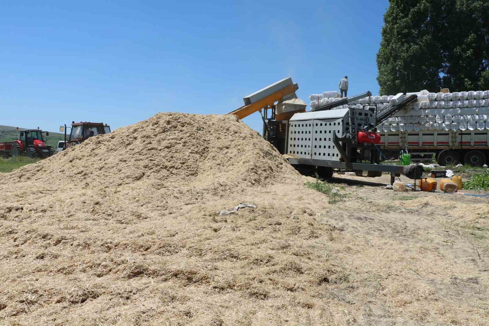 Elde kalan saman Karadeniz ve Akdeniz Bölgesi’ne gönderildi
