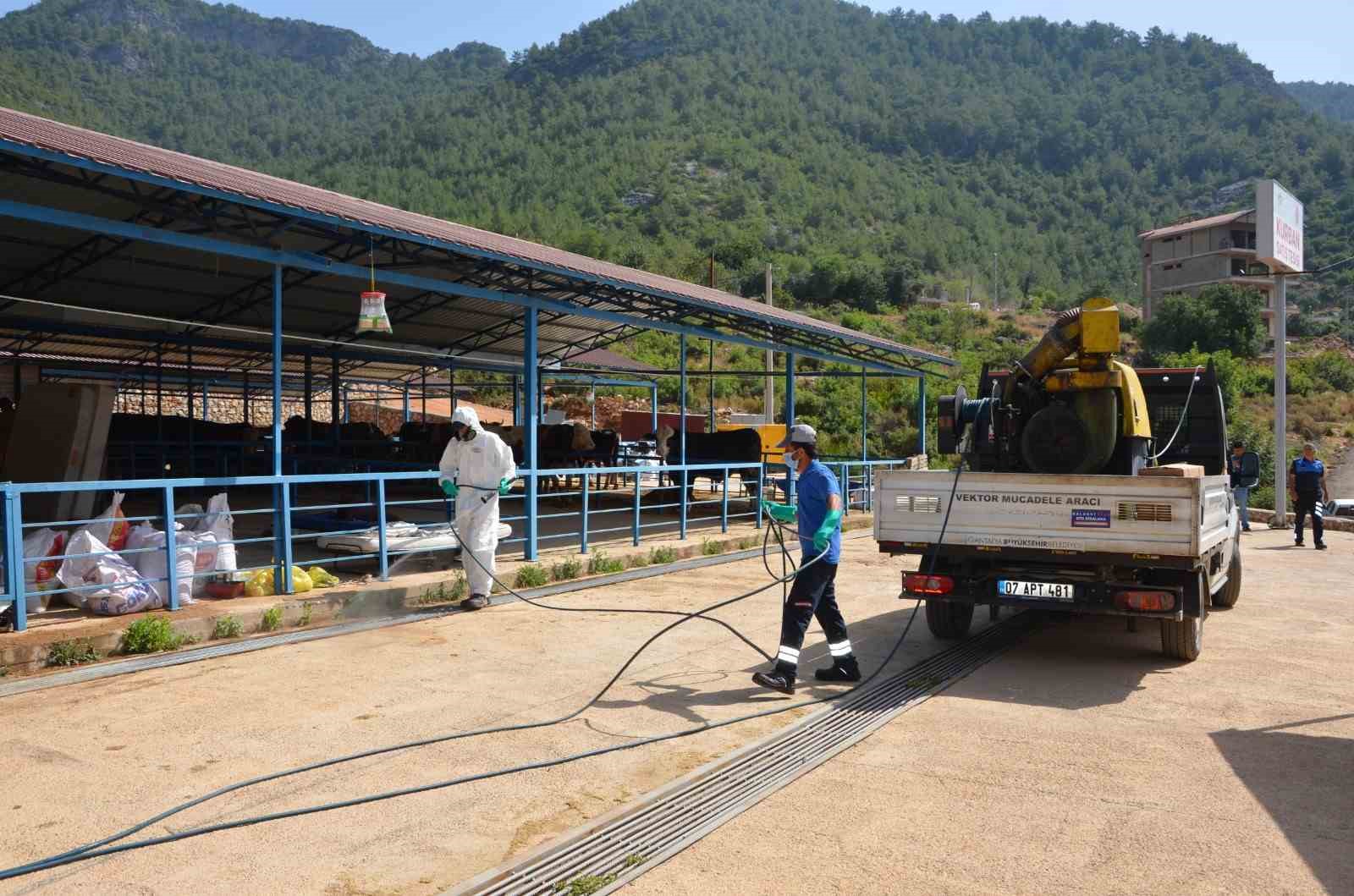 Alanya’da kurban pazar yerleri ilaçlanıyor
