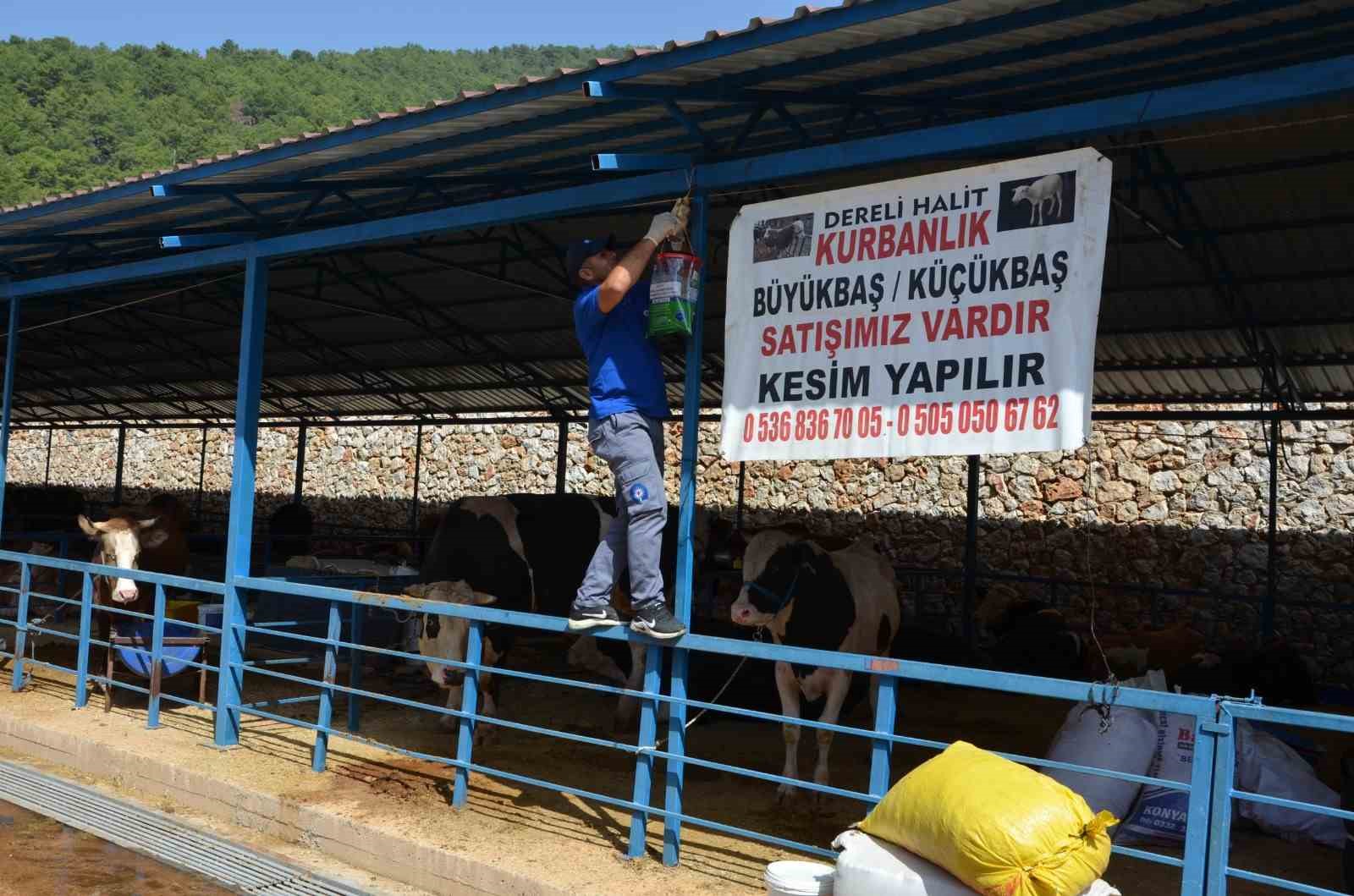 Alanya’da kurban pazar yerleri ilaçlanıyor
