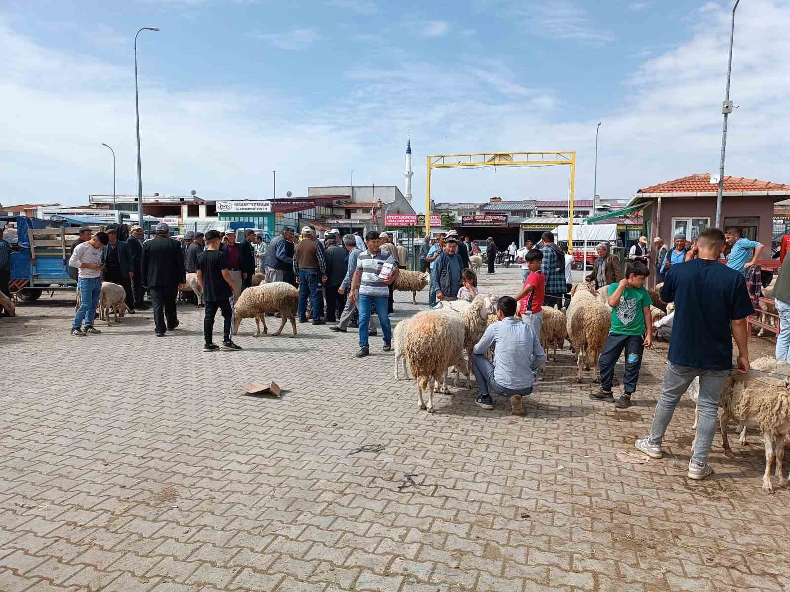 Afyonkarahisar’da küçükbaş kurbanlıklar müşterilerini bekliyor
