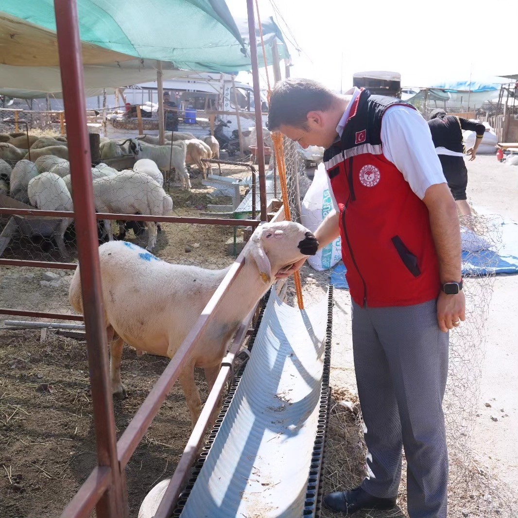 Osmaniye’de Kurban Bayramı öncesi hayvan pazarında denetim
