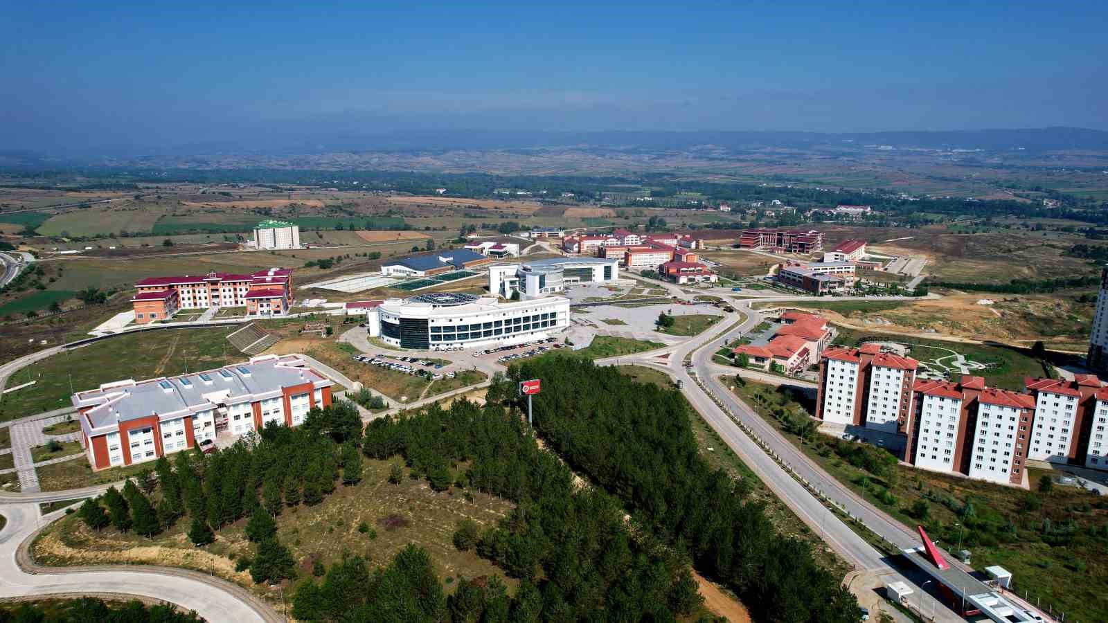 Kastamonu Üniversitesi, diyabet ve kanser tedavisinde silimarinin etkisi araştıracak
