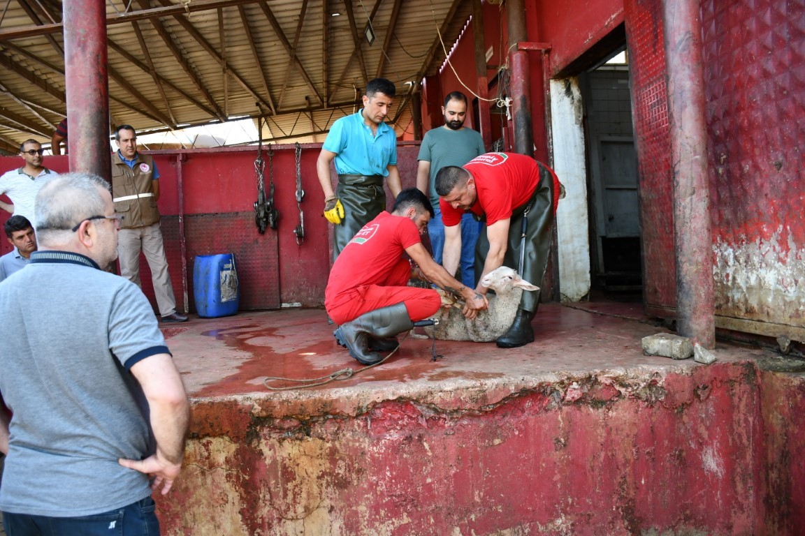 Uygulamalı kurban kesim kursu
