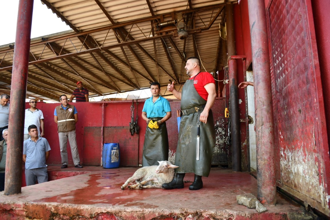 Uygulamalı kurban kesim kursu
