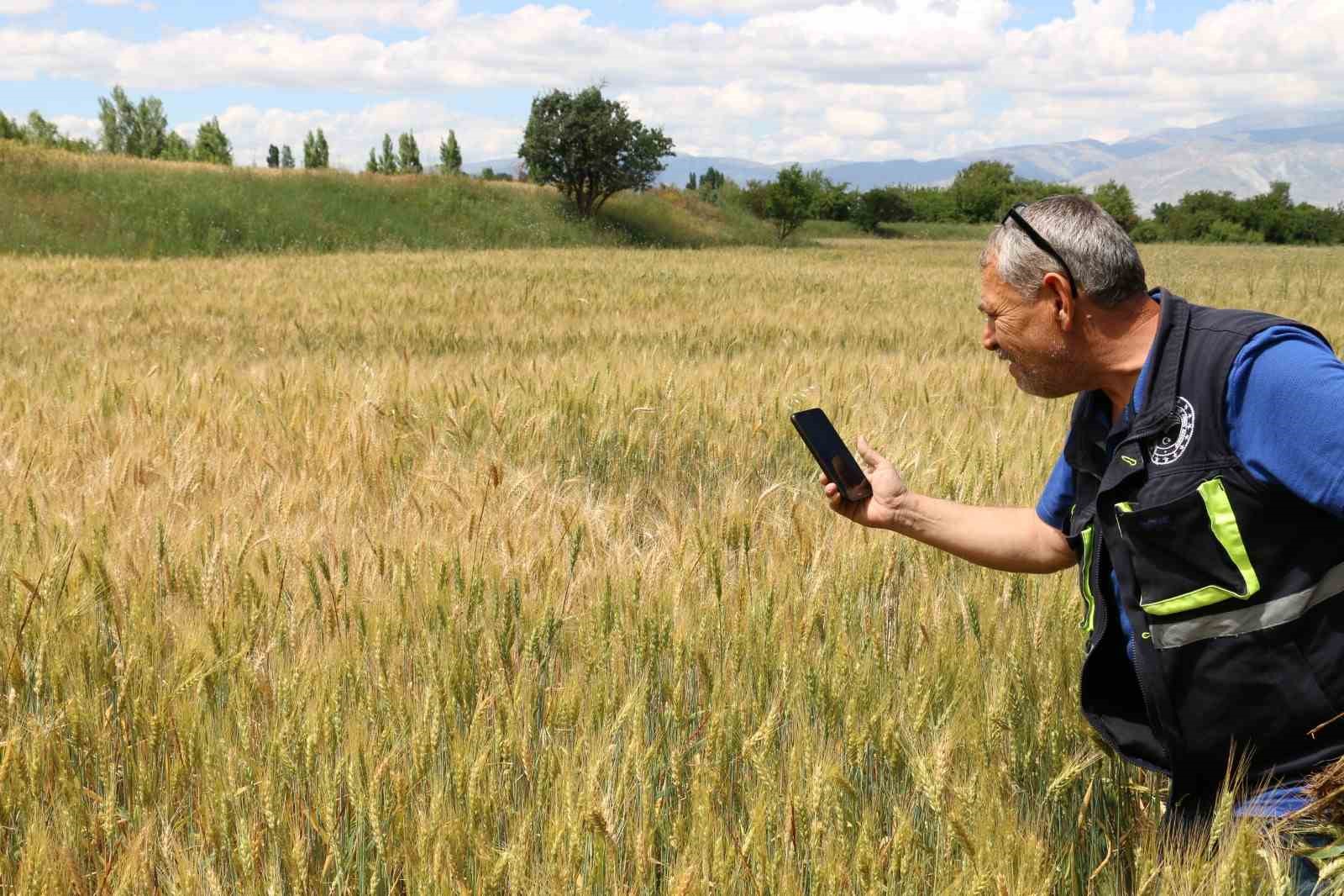 Hububat sahasında canlı yayınlı çözüm
