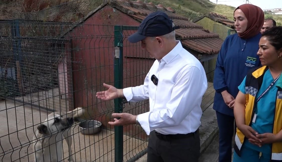 Büyükçekmece Belediye Başkanı Akgün: “Devlet katkı sağlarsa sokak hayvanları sorunu 5 yılda çözülür”
