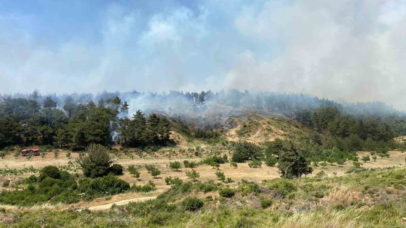 Çanakkale’de orman yangınına havadan ve karadan müdahale ediliyor
