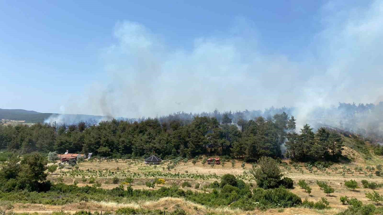 Çanakkale’de orman yangınına havadan ve karadan müdahale ediliyor
