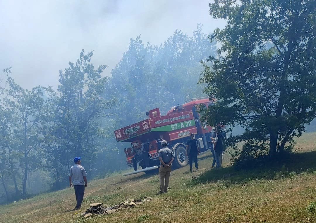 Sinop’ta orman yangını çıktı
