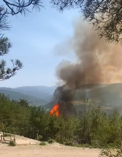 Sinop’ta orman yangını çıktı
