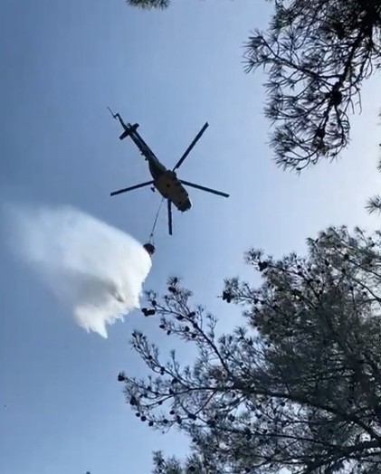 Sinop’ta orman yangını çıktı
