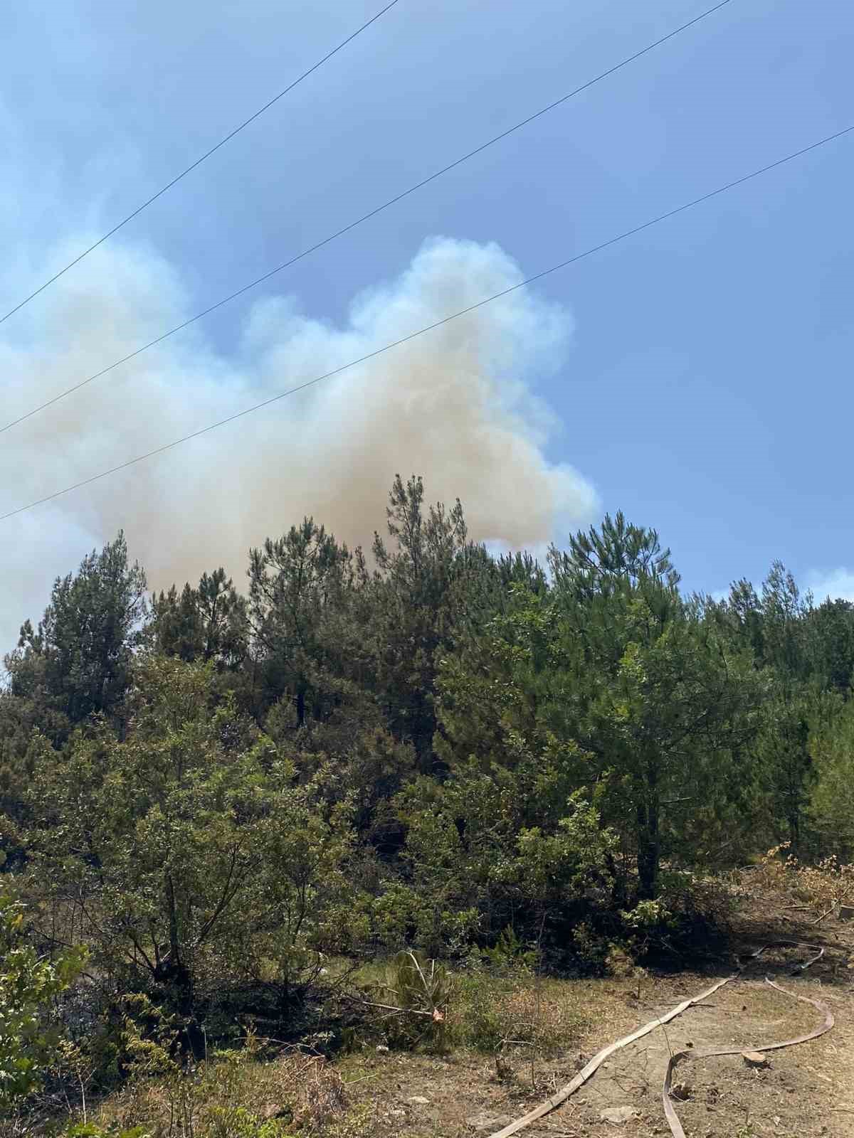 Sinop’ta orman yangını çıktı
