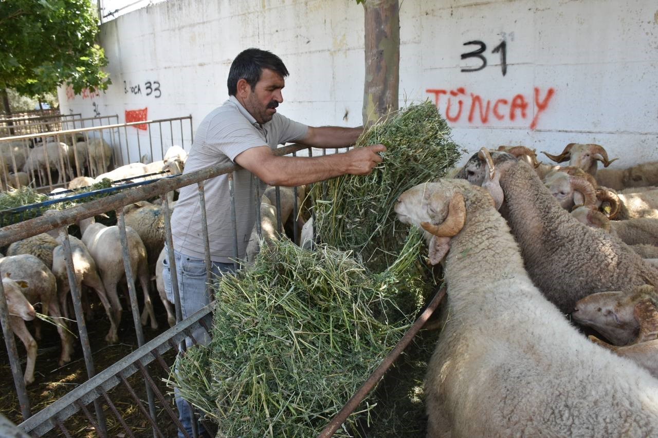 Edremit Kurban Bayramı’na hazır
